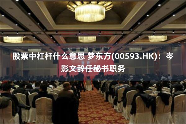 股票中杠杆什么意思 梦东方(00593.HK)：岑影文辞任秘书职务