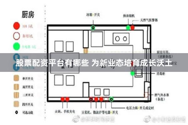 股票配资平台有哪些 为新业态培育成长沃土