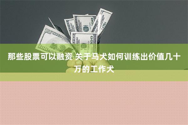 那些股票可以融资 关于马犬如何训练出价值几十万的工作犬